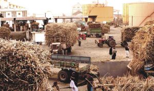 A Comparative Analysis: Khoski Sugar Mills vs Other Sugar Mills in Pakistan