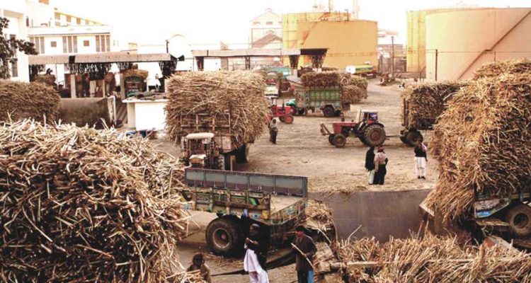 A Comparative Analysis: Khoski Sugar Mills vs Other Sugar Mills in Pakistan